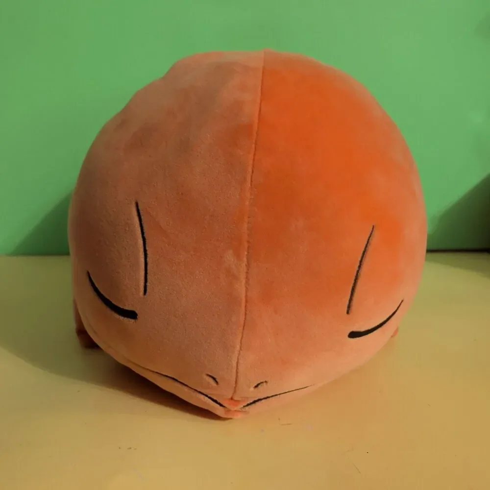 Pokémon Sleeping Charmander 18